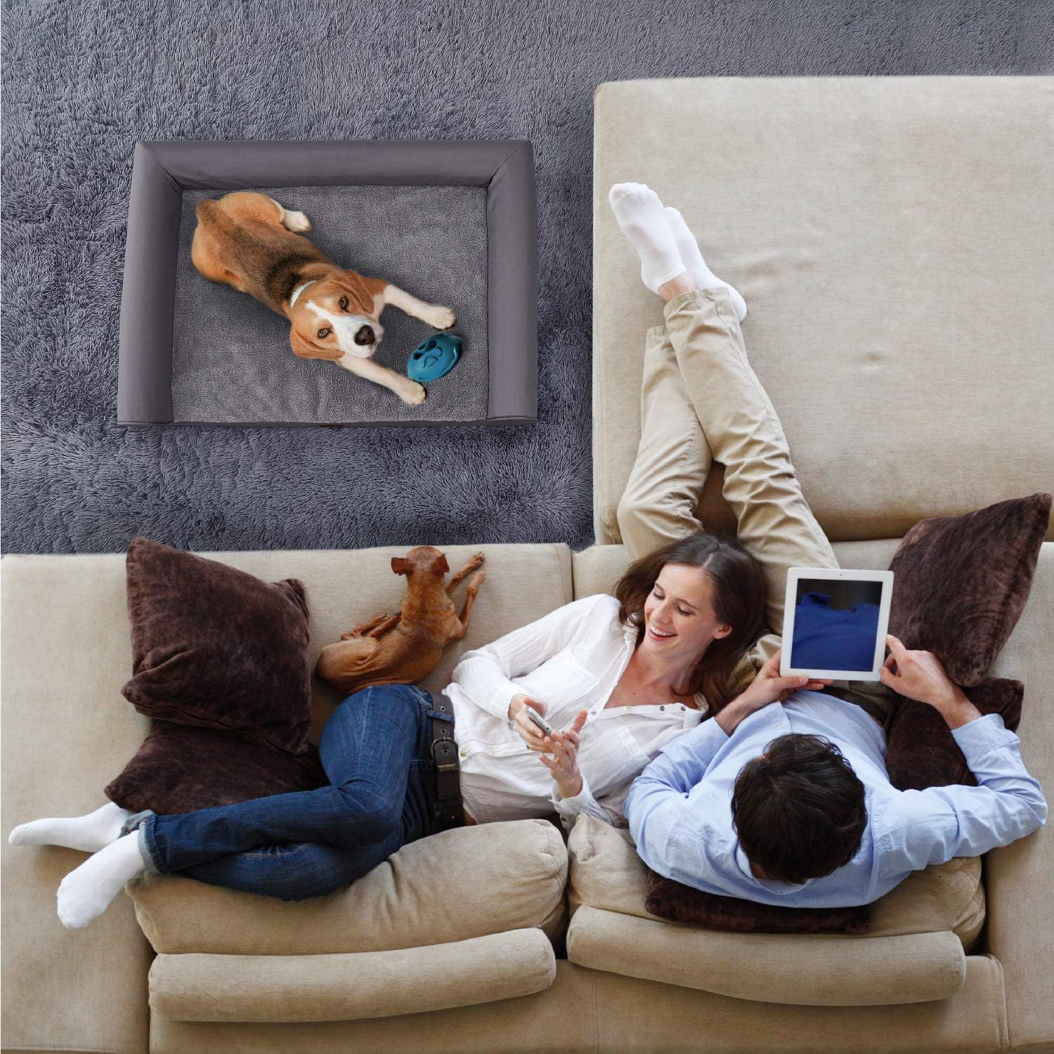 Eterish Large Orthopedic Dog Bed for Medium, Large Dogs up to 75 lbs, 3 inches Thick Egg-Crate Foam Bolster Dog Sofa Couch Bed with Removable Cover, Pet Bed Machine Washable, Grey : Kitchen & Dining