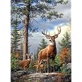 Buffalo Games Oval Cameo: Hautman - Whitetails 750 Piece Jigsaw Puzzle