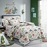 Joyreap 6 Piece Twin Size Bed in a Bag, Colorful