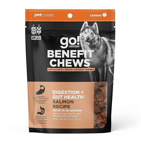 GO! SOLUTIONS DIGESTION + GUT HEALTH SALMON SOFT...
