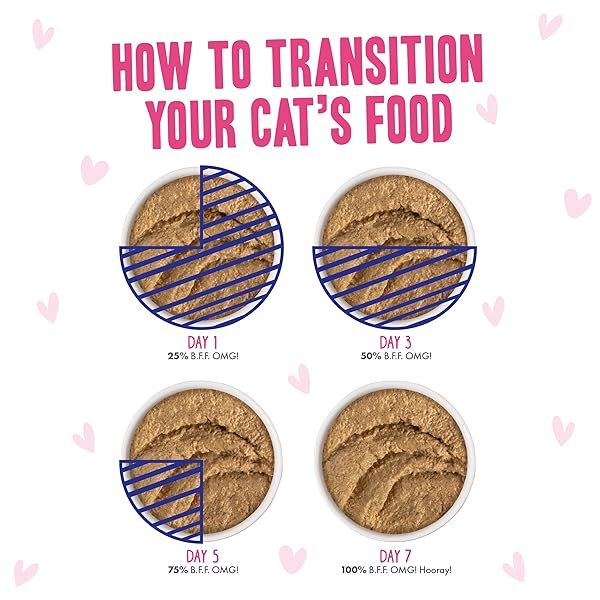 WERUVA B.F.F. PLAY – BEST FELINE FRIEND PATÉ LOVERS, AW YEAH!, PATÉ PARTAY! VARIETY PACK, 3OZ POUCH (PACK OF 12)