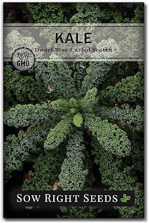 Get Amazon Com Sow Right Seeds Dwarf Blue Curled Scotch Kale Seed Desktop Wallpaper Wallpaper Amazon Com Sow Right Seeds Dwarf Blue Curled Scotch Kale Seed For Android Free