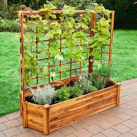 Gärtner Pötschke Bancal con XXL de Enrejado: Amazon.es: Jardín