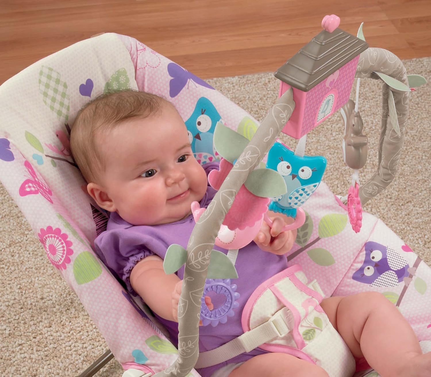 fisher price cosy cocoon bouncer