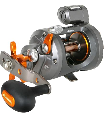 リール DAIWA Sealine 47H Daiwa Sealine 47H ダイワ シーライン / リール DAIWA sealine