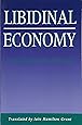 Libidinal Economy (Theories of Contemporary Culture)