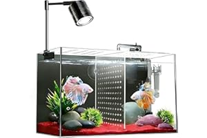 iPriro Fish Tank, 3 Gallon Ultra-Clear Glass Fish Aquarium, with Separator Plate for Betta, Fish Tank Starter kit with Filter and Led Light, Black