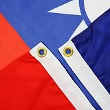 AZ FLAG Tanzania Flag 2x3 ft Polyester 100D with 2 Brass Eyelets view 2