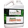 Liquid Kelp Organic Seaweed Fertilizer 1 Gallon