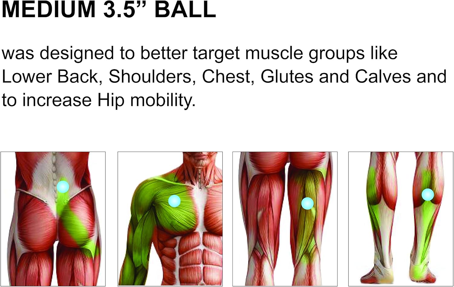 Massage Ball - 3 Set - Deep Tissue Massage Therapy, Myofascial Release, Trigger Point Massager - Muscle Pain Relief, Muscle Knots Foam Ball, Self Massage Physical Therapy Ball (GREEN/WHITE): Sports & Outdoors