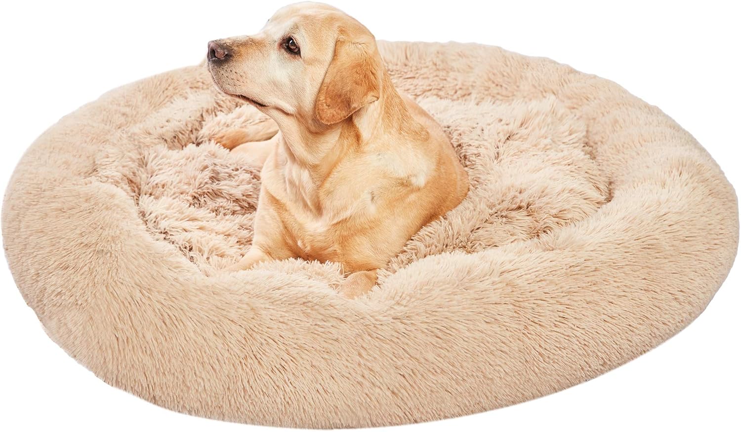 donut shaped dog bed