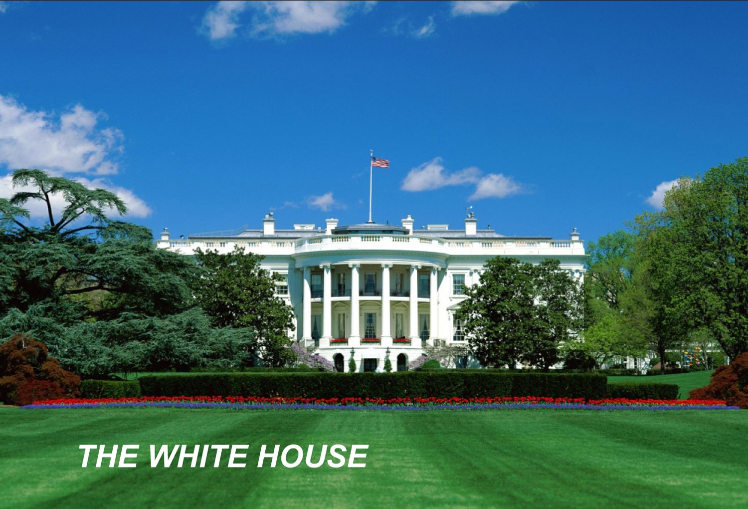 DC District of Columbia USA United States Fridge Refrigerator Magnets (1 Piece, Style: The White House #A6)