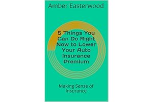 5 Things You Can Do Right Now to Lower Your Auto Insurance Premium: Making Sense of Insurance (Making Sense of Insurance Blog