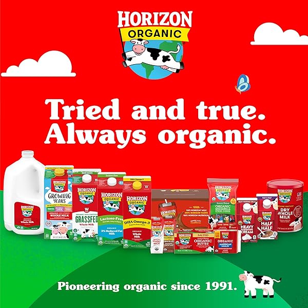 HORIZON ORGANIC SHELF STABLE 1% LOWFAT STRAWBERRY MILK BOXES, PACK OF 12 – 8G PROTEIN PER SERVING
