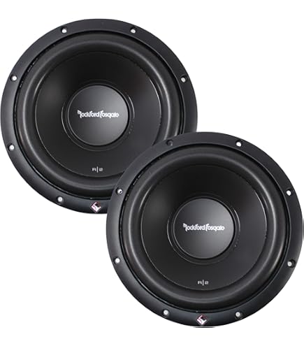 Amazon.com: Rockford Fosgate New Pair R2SD4-10 400W 10