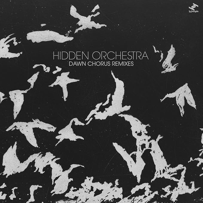 Dawn Chorus Remixes [VINYL] Amazon.co.uk CDs & Vinyl