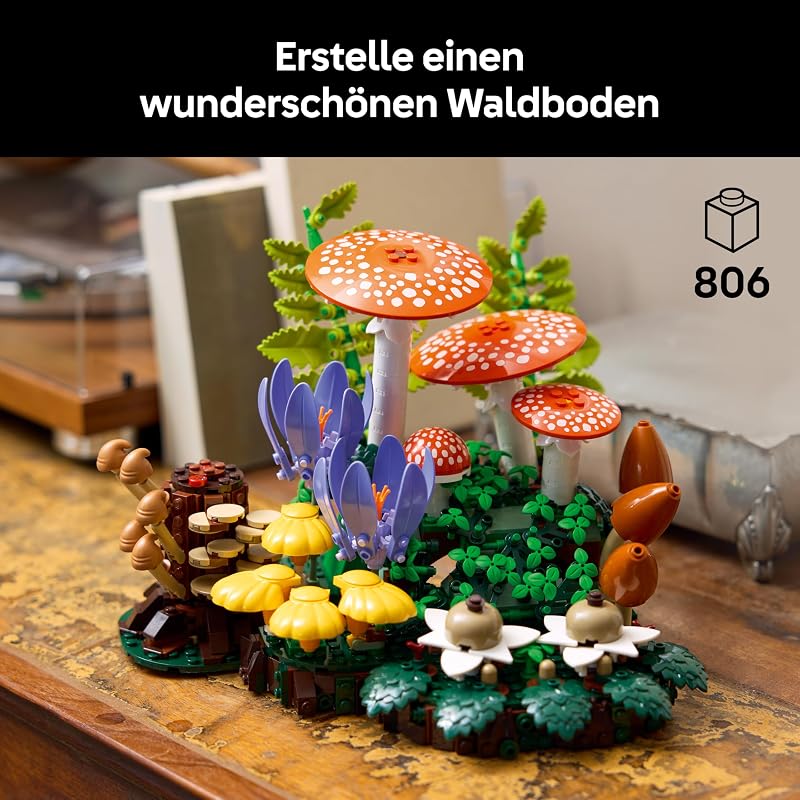 Botanicals Waldpilze 11505