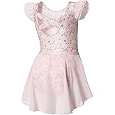 DIPUG Ballet Leotards for Girls Ballet Leotard with Skirt Toddler Dance Leotards Flutter Sleeve and Criss-Cross Back