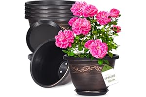 POTTIFFE Plastic-Plant-Flower-Planters-8 Inch with Drainage Hole & Saucer, 6 Packs Lightweight Small Resin Flower Pot Indoor Outdoor, Retro Antique Imitation Decorative Garden Containers Sets for Houseplants
