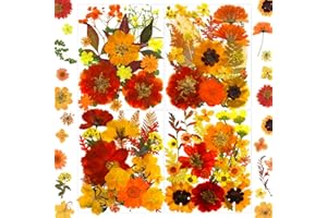MIKIYA 90Pcs Fall Pressed Dried Flowers for Resin, Real Assorted Autumn Natural Bulk Orange Dry Floral Leaves for DIY Art Crafts, Epoxy Molds, Jewelry, Soap, Candle Making