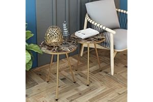 SUNRISE HOME DECOR Set of 2 END Tables Marble Look Wood Round Sofa Nesting Side Table for Small Spaces, Nightstand Bedside Table NO-Tools Assembly (Brown Marble/Gold)