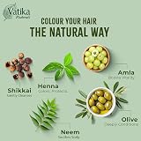 Vatika Naturals Henna Natural Brown Hair Colour 60g 6 x 10g Sachets view 4