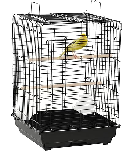 A&E Cage Company Travel Bird Carrier: Ultimate Comfort & Safety Guide