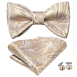 Hi-Tie Mens Suit Vest Bowtie Set Ties for Men V
