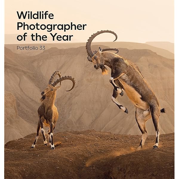 写真集 Wildlife Photographer of the Year 6冊 Amazon.com: 60 Years of Wildlife Photographer of the Year