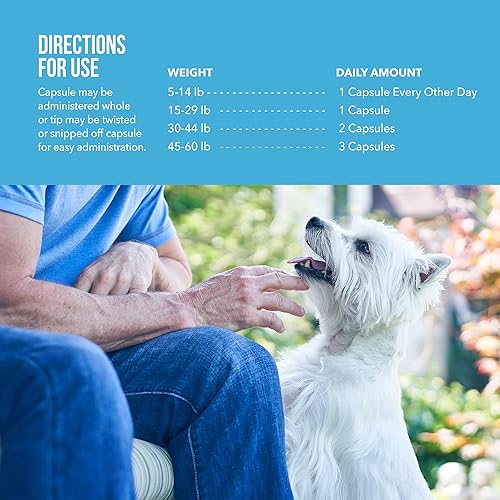 Free Form Snip Tips Omega-3 Fish Oil Liquid Supplement for Medium