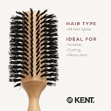 KENT 68mm Large Radial Pure Bristle Brush Beech Wood Handle - PF09 view 6