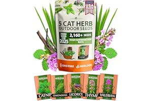 HOME GROWN 2,160+ Cat Plant Seeds Mix – Non GMO Heirloom Catnip, Lemongrass, Licorice, Thyme & Valerian – Pet-Friendly Indoor Garden Refill Kit for Cats & Kittens
