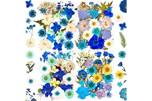 MIKIYA 92Pcs Blue Dried Pressed Flowers for Resin Molds, Assorted Real Natural Bulk Dry Floral Leaves for DIY Art Crafts, Epoxy Jewelry, Candle, Soap Making, Nails Decors Gifts