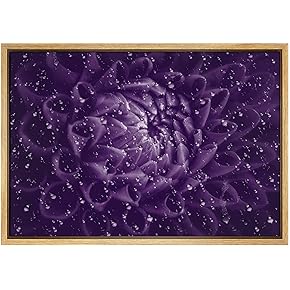 SIGNWIN Framed Canvas Print Wall Art Detailed Dark...