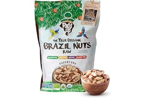 FLORESTA EM PÉ Snack The True Organic Brazil Nuts Medium Size 32 oz-2lbs – Raw and Unsalted – Kosher – Healthy-Rich in Vegetable Protein – Harvested in Amazon Rainforest – Fresh, Vegan and Gluten Free – Forest Up