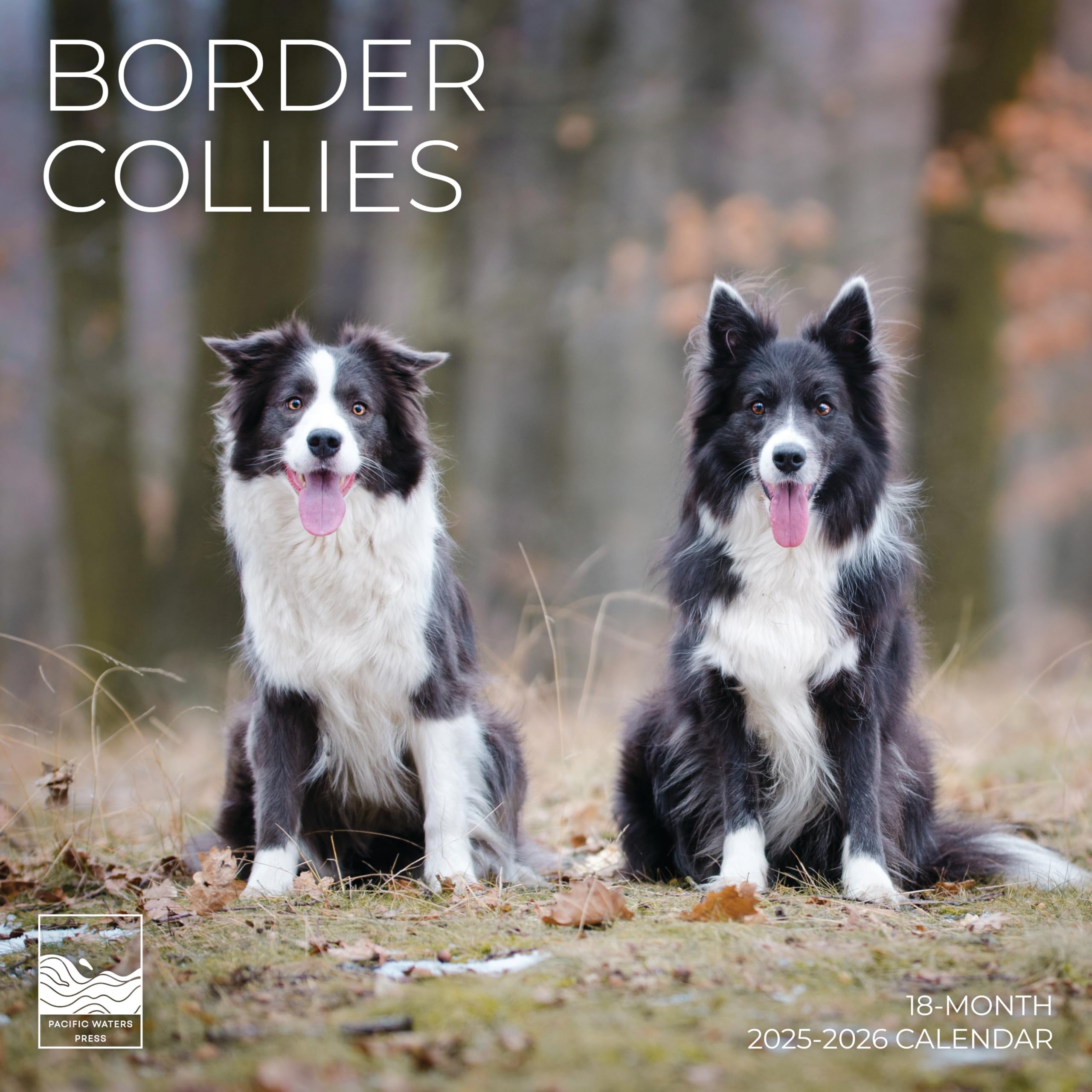 July 2025- December 2026 Border Collie Wall