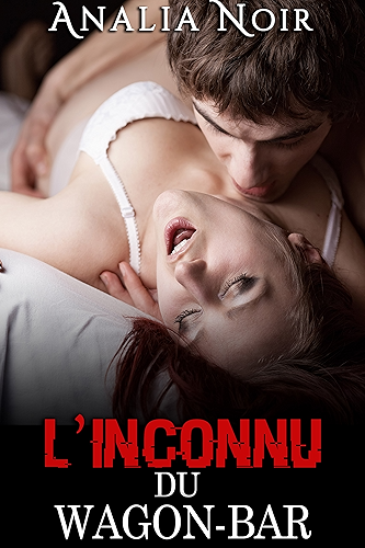 Download L'Inconnu du Wagon Bar: (Nouvelle Érotique, Alpha Male, Bad Boy) PDF