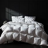 Three Geese Luxury Goose Down Comforter Queen Size, Ultra-Soft Fluffy Duvet Insert for All Season, 1800TC Cotton Blended Cover Hotel Style Bedding Comforter 90x90 inch