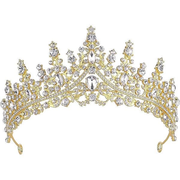 Elegant Rhodium Plated CZ Crystal Flower Meadow Tiara Bridal