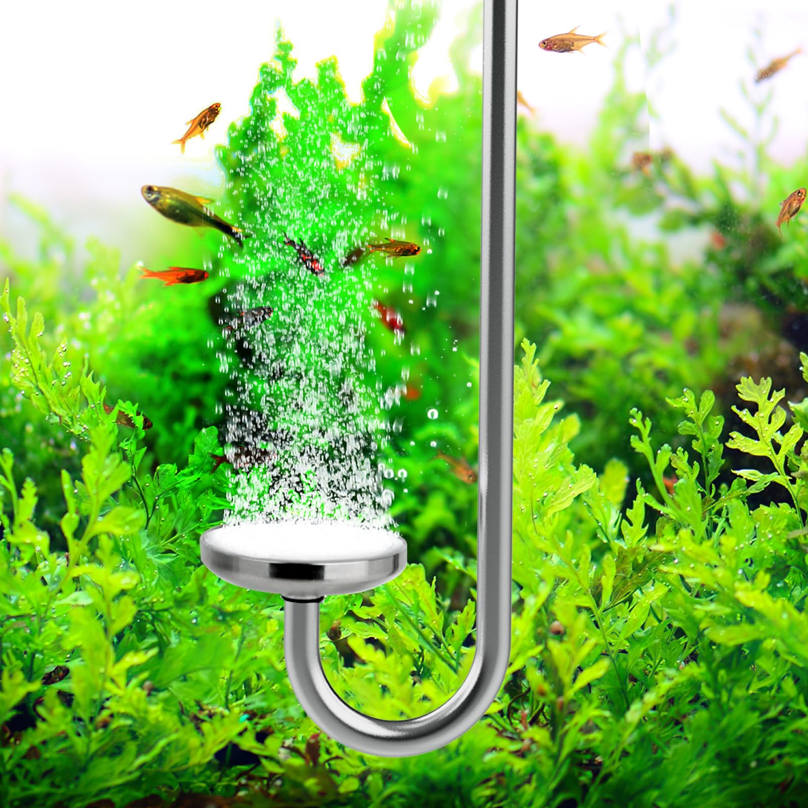 Photo 1 of Hygger CO2 Stainless Steel CO2 Difusser Atomizer Used for Aquarium Plants?Water Grass Tank,Fine and Uniform Bubbles, Durable and Not Easy to Rust (M(30cm))