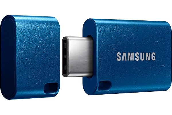 Samsung Type-C USB Flash Drive 256GB, USB 3.2 Gen 1, Up to 400MB/s | Transfer 4GB Files in 15 Secs, Compatible w/ USB 3.0/2.0, Waterproof, Storage for Computers & Mobile, Blue (MUF-256DA/AM)