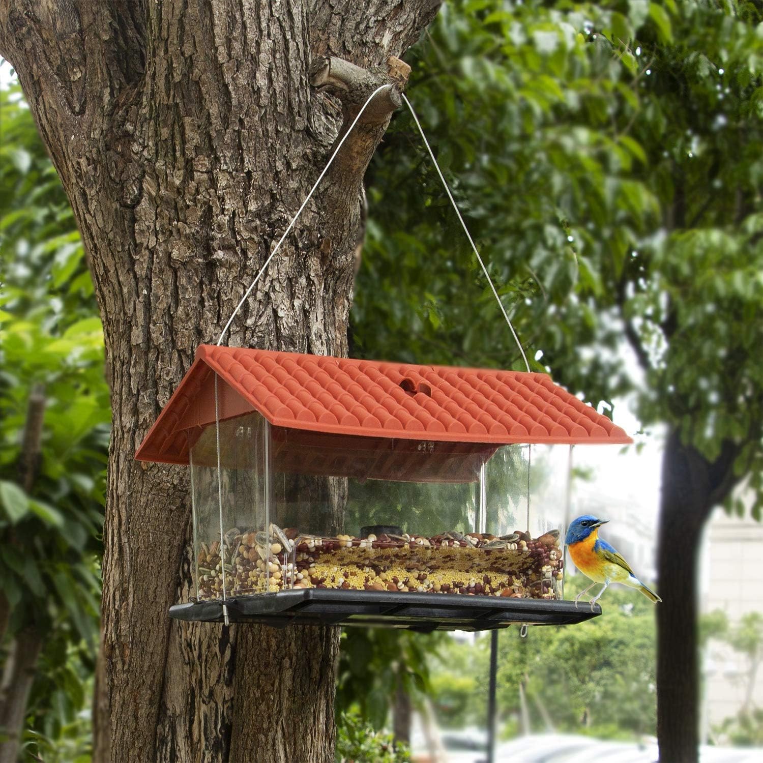 FUNPENY Hanging Wild Bird Feeder, Red Roof Panorama House Bird Feeders and Garden Decoration for Bird Watchers and Children : Garden & Outdoor