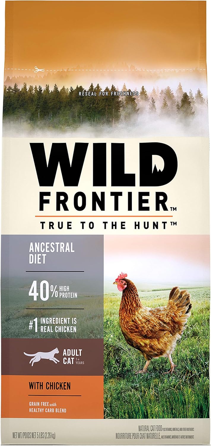 lizards that look like dragons