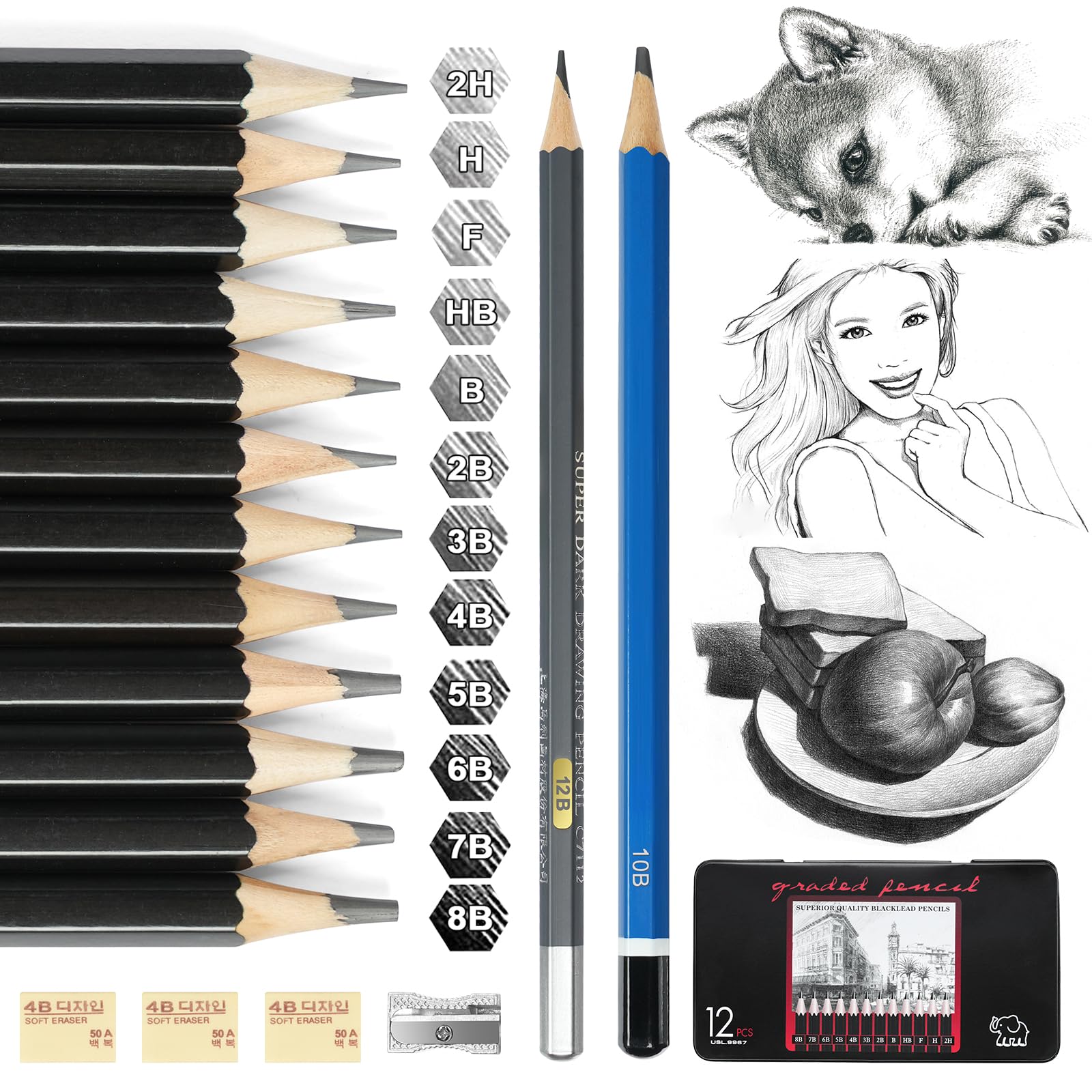 Vicloon Professional Sketch and Drawing Pencils Set, 14 Pcs Sketching Pencils Art Pencil with 3 Pcs Erasers and 1 Pc Sharpeners for Beginners, Kids or Professional Artist