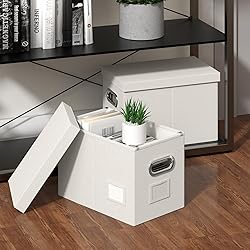 DYWMM Hanging File Box with Lid, Set of 2 Filing