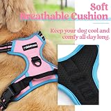Rabbitgoo Dog Harness Large No Pull Reflective Adjustable Pink Blue L view 3
