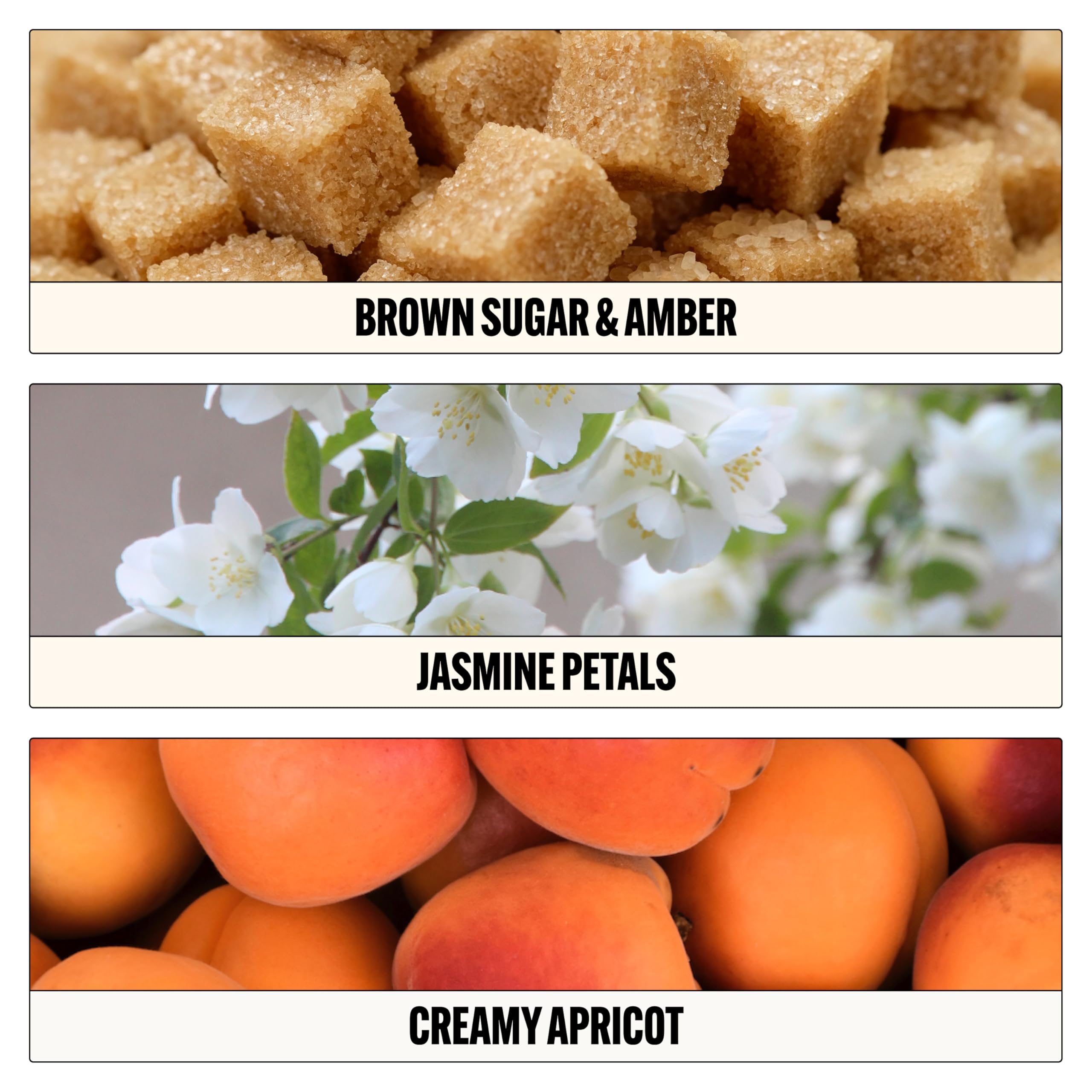 Le Monde Gourmand Crème Vanille Spray Eau de Parfum -Warm Vanilla, Jasmine, Amber Perfume Notes - 1 fl oz (30 ml)