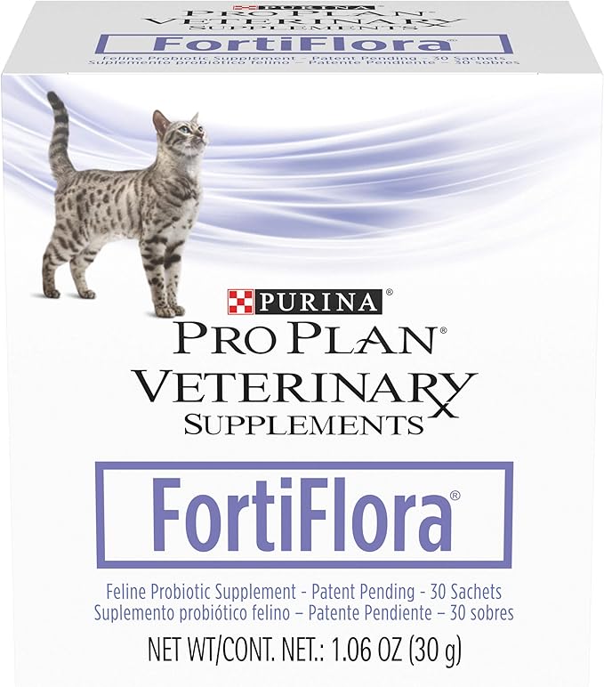 kitten food with probiotics
