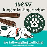 Forthglade Natural Dog Dental Sticks 10 x 185g Bags 50 Sticks Plant Based view 4