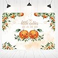 Hilioens 5×3ft Two Little Cuties Backdrop Twins Orange Cuties Baby Shower Background for Party Decorations Green Leaves Two Little Cuties are On The Way Banner Props